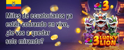 Bono por Referir Amigos promotion